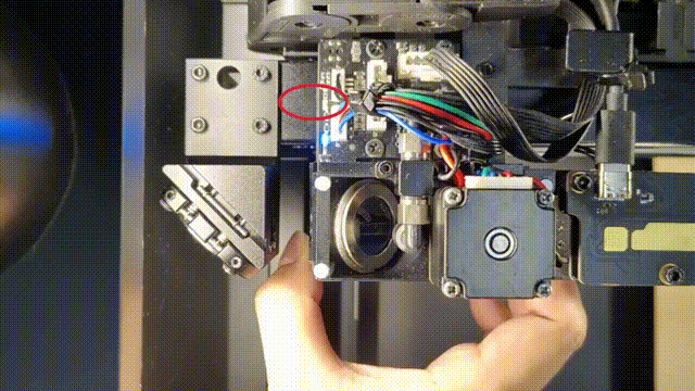31.gif